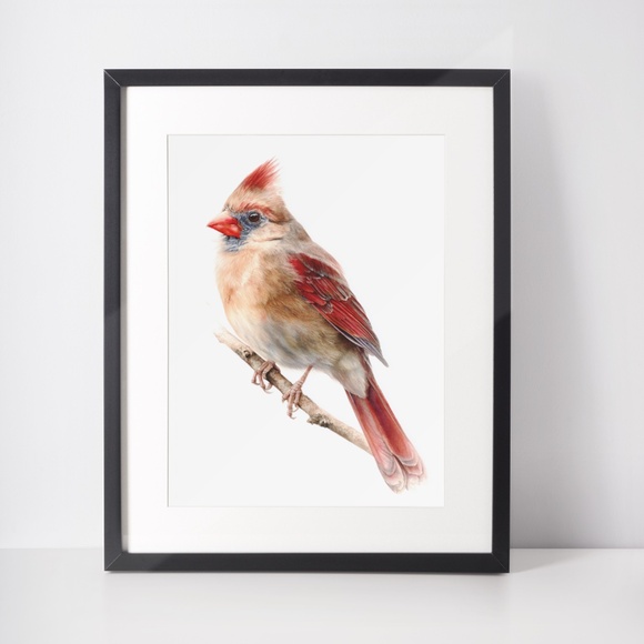 Watercolor Female Cardinal Bird Wall Art Print Unframed - Picture 3 of 7